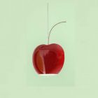 Aldo Bernardi Lampada a sospensione ciliegia Fruits 3 luci GU10 LED L 41 cm